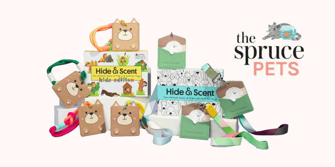 Hide and Scent game kits displayed with The Spruce Pets logo, highlighting best interactive dog toy award