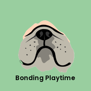 Bulldog nose on a green background with 'Bonding Playtime' text, highlighting the Hide&Scent Game Kit Benefit as a sniffing game for dogs.