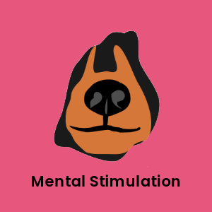 Doberman dog nose on a pink background with 'Mental Stimulationr' text, highlighting the Hide&Scent Game Kit Benefit as a sniffing game for dogs.