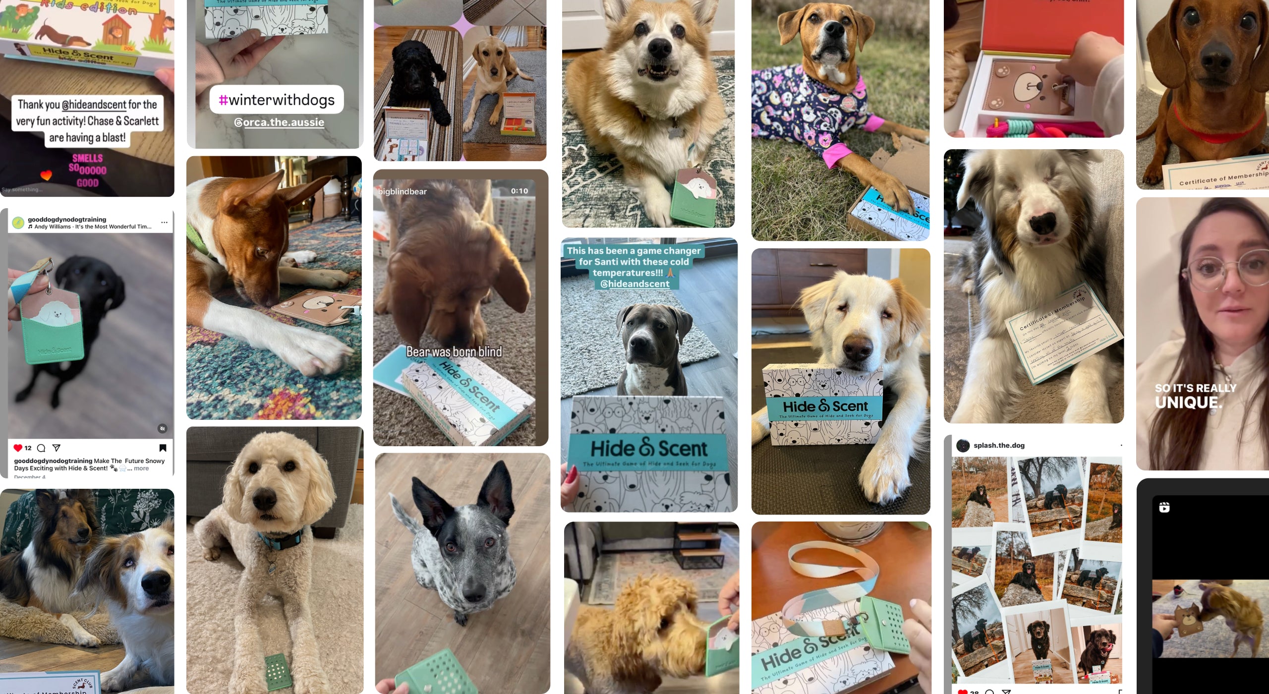 Social media images of dogs playing with Hide&Scent sniffing games for dogs