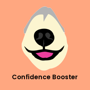 Husky dog nose on a orange background with 'Confidence Booster' text, highlighting the Hide&Scent Game Kit Benefit as a sniffing game for dogs.