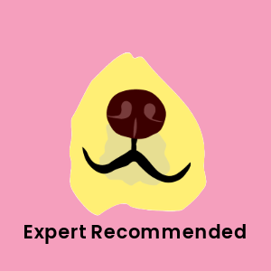Labrador nose on a pink background with 'Expert recommended' text, highlighting the Hide&Scent Game Kit Benefit as a sniffing game for dogs.