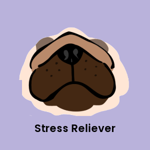 Pug dog nose on a yellow background with 'Stress Reliever' text, highlighting the Hide&Scent Game Kit Benefit as a sniffing game for dogs.
