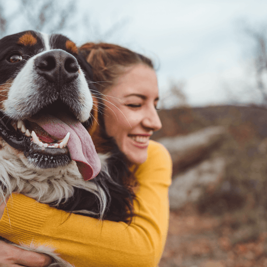 Woman hugging a happy Bernese Mountain Dog with its tongue sticking out, enjoying a loving moment together