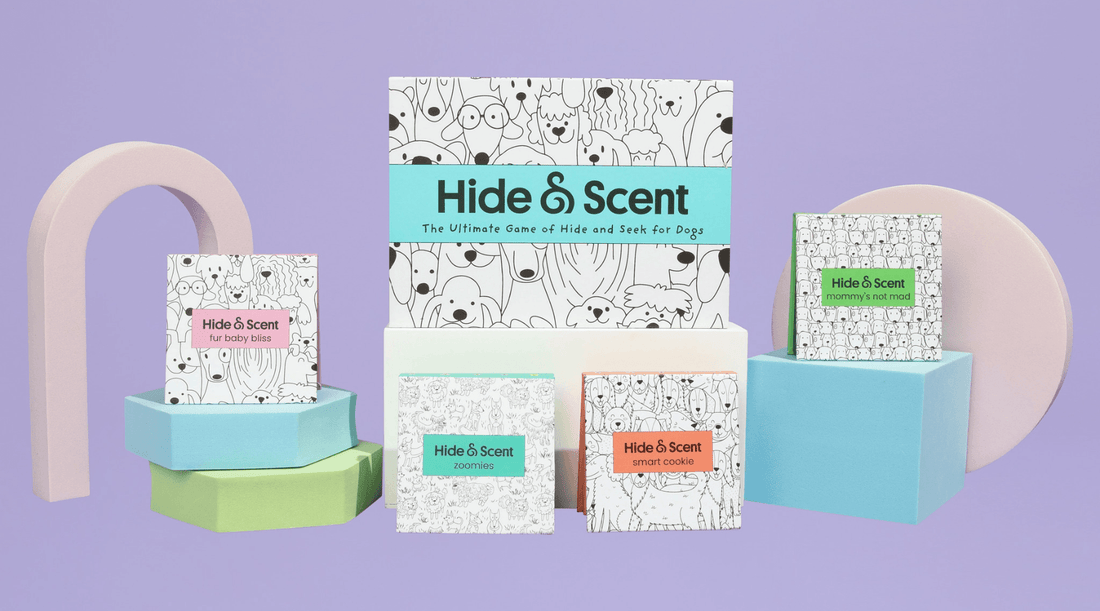Hide&Scent Standard Game Kit Bundle on a Purple Background