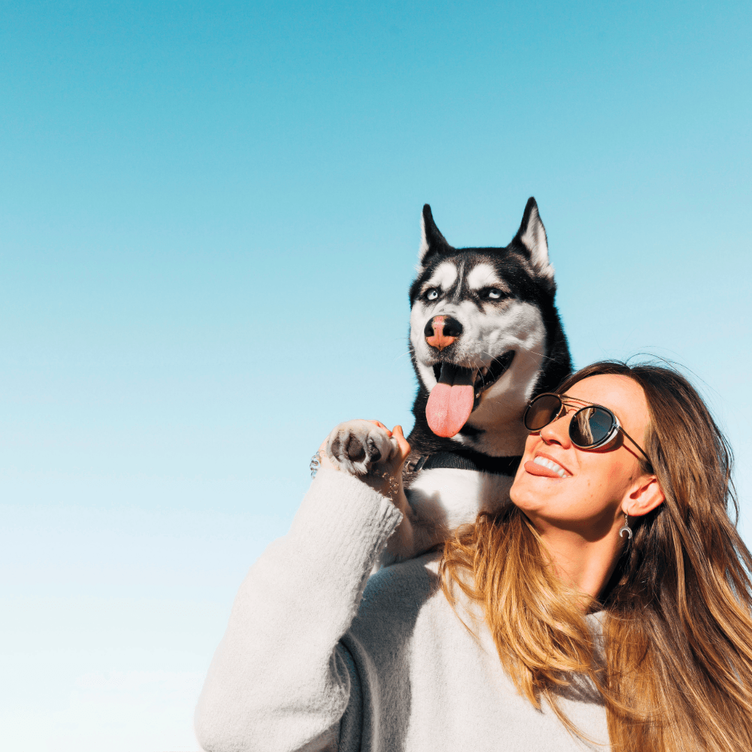 Woman smiling with a Husky dog on her shoulders, both looking happy and playful