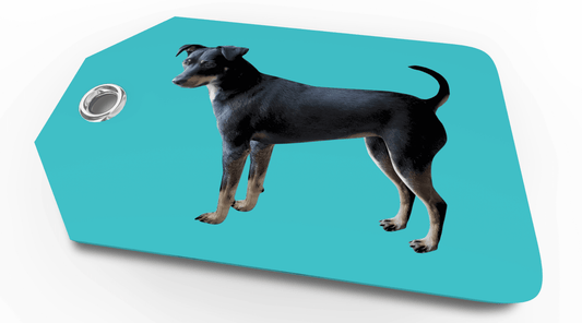 Dog-themed price tag featuring a playful pup illustration.