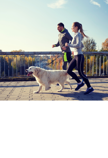 Man and woman running with their Golden Retriever, enjoying an active outdoor moment