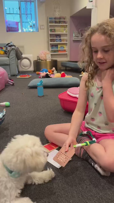 Little girl demonstrating the scent imprinting step of the Hide&Scent Kids Edition sniffing game for dogs with a little white dog.