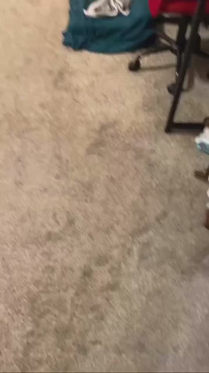 Hide&Scent Kids - Lola